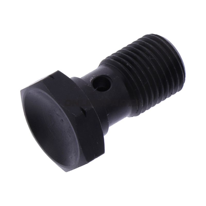 Hul skrue simpel M10 x 1.00 rustfrit stål sort