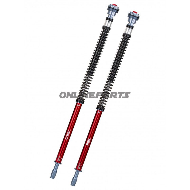 Cartridgekit Gabel YSS Road Z1