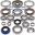 Differentiel reparationssæt komplet All Balls Racing