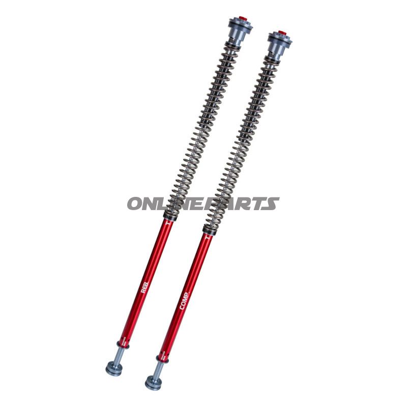 Kassettekit Gabel YSS Z1