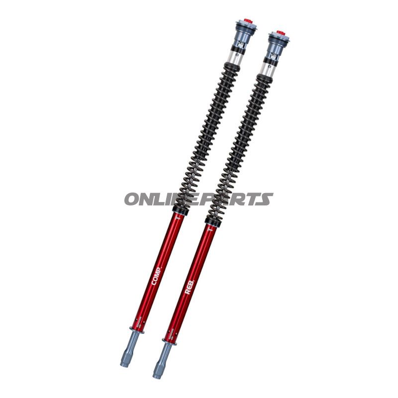 Cartridgekit Gabel YSS Road Z1