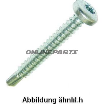 SELVBORENDE SKRUER 4.8X19 7504M TORX Verzinkt Packung 100 Stück