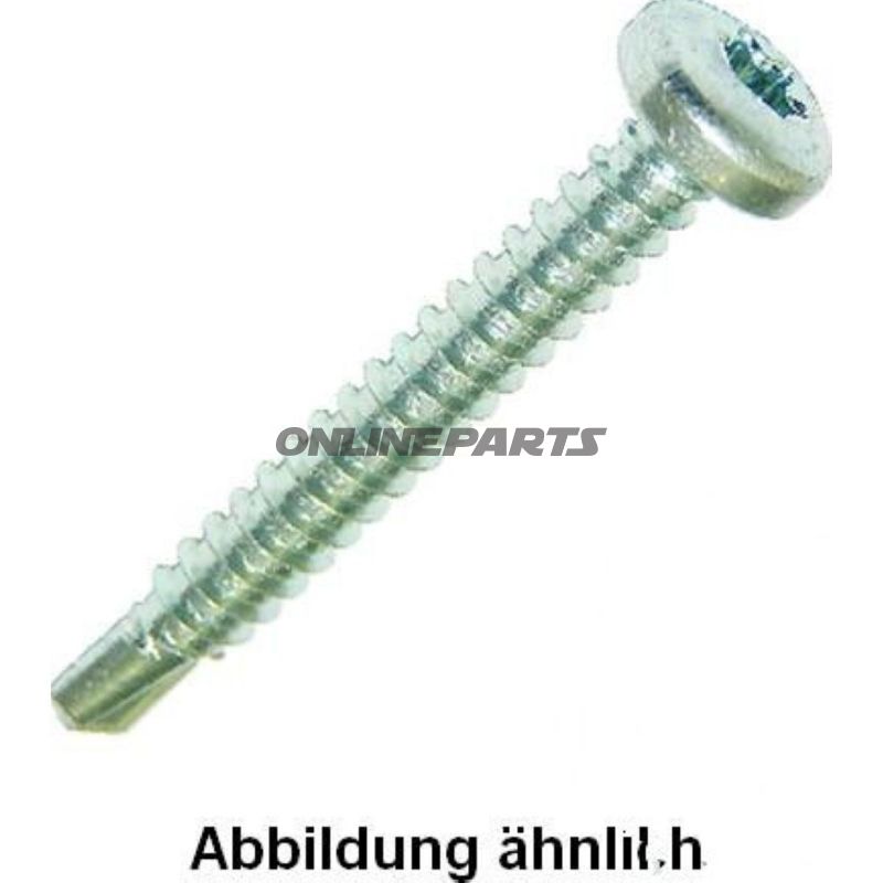 SELVBORENDE SKRUER 4.8X19 7504M TORX Verzinkt Packung 100 Stück