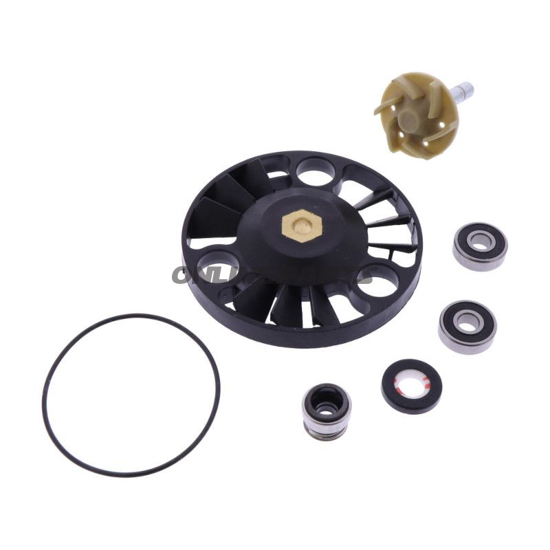 Wasserpumpe Reparatursatz 101 Octane