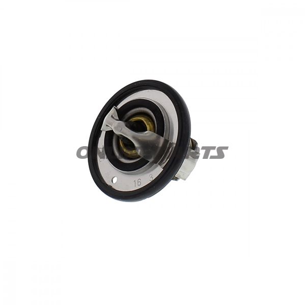 Thermostat Tourmax