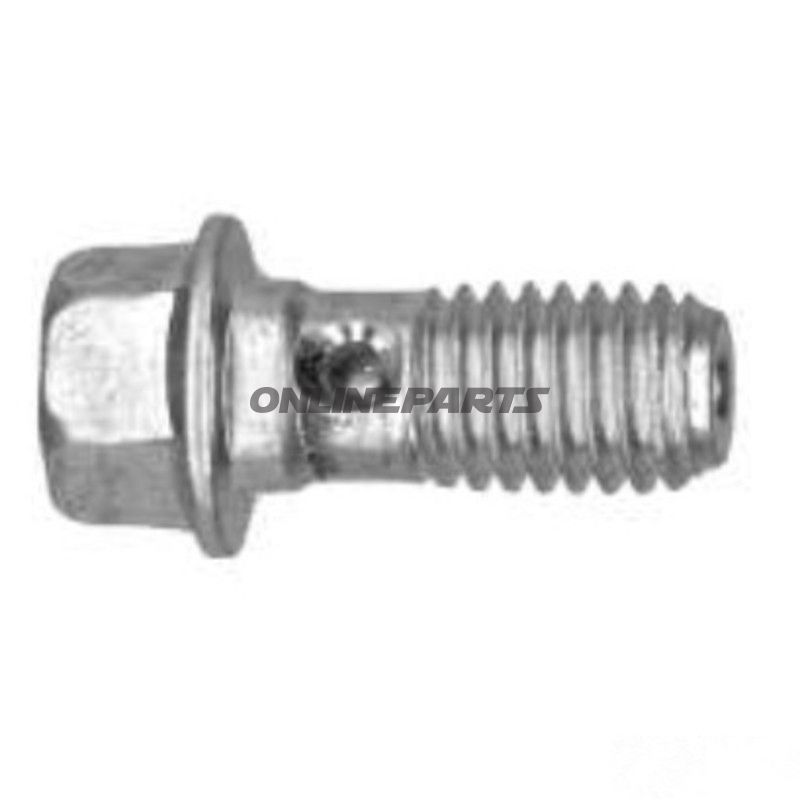 HOHLSCHRAUBE F BR SCHL MQ M10X1.5 SW12 L30.5