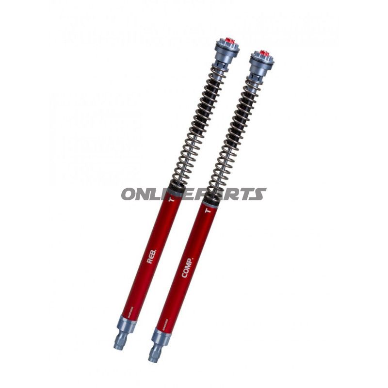 Cartridge kit fork YSS on road Z3