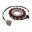 Generator stator