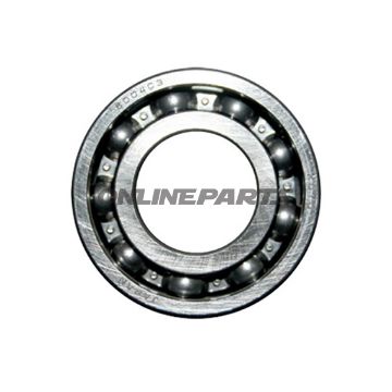 RULLELEJE 6004 C3 NTN SE 7520615 02/20