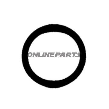Ø RINGINDHOLD 20 DELE 17,0X2,0 mm