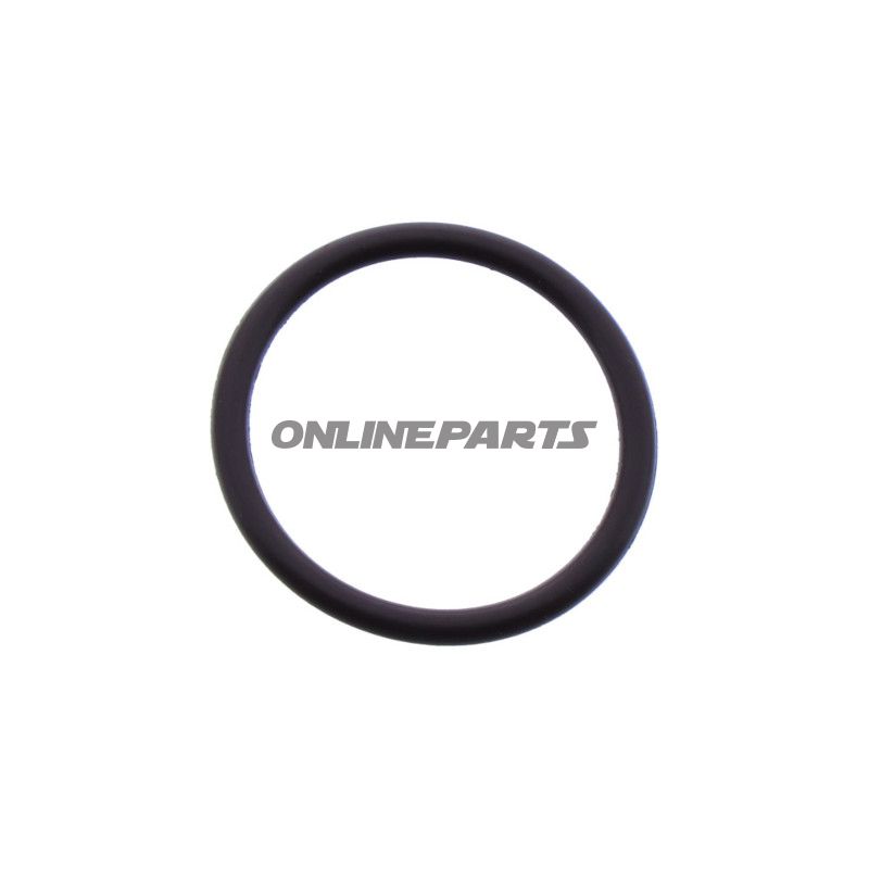 O-ring JMP 2 x 20,5 mm 734.95.63