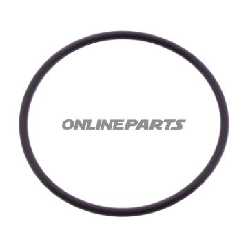 O-ring 2.5X54MM JMP 735.11.02